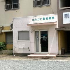 はやかわ動物病院