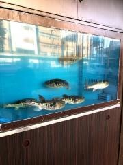 玉福宮崎店