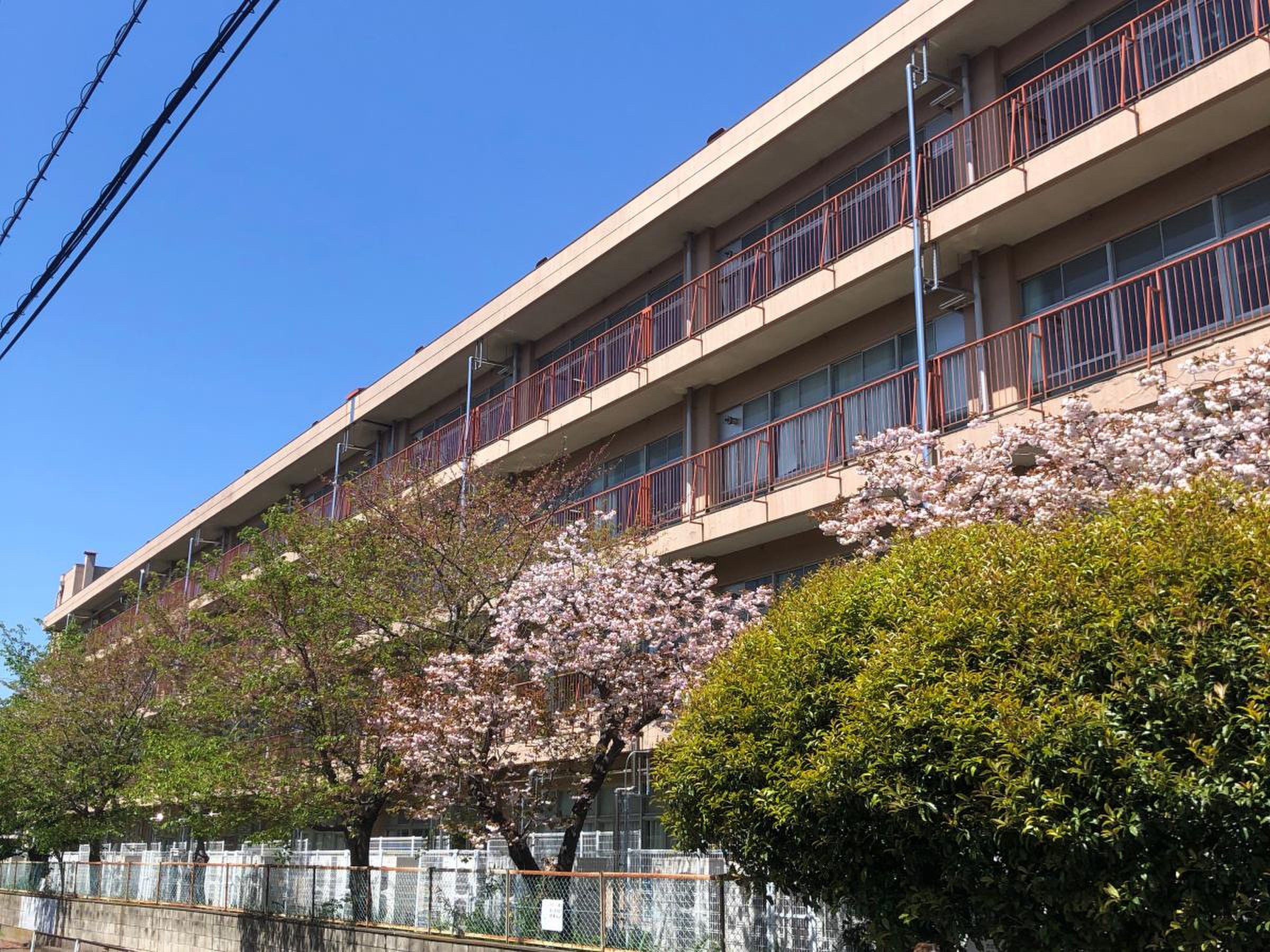 当時のメディア報道・掲載写真