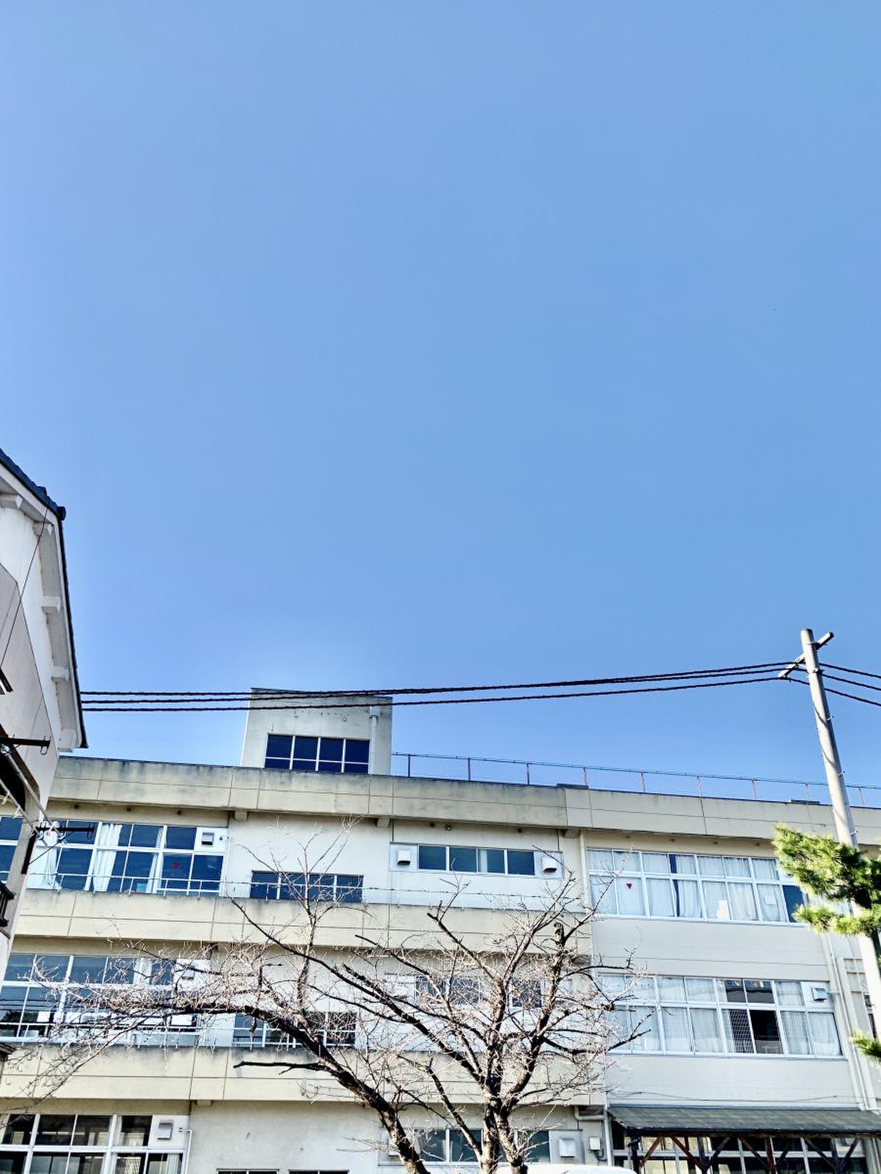 南 小倉 小学校