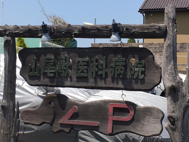 投稿写真1