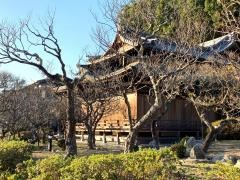 曲水の庭