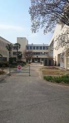 足利市立南小学校