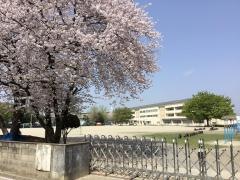 足利市立南小学校
