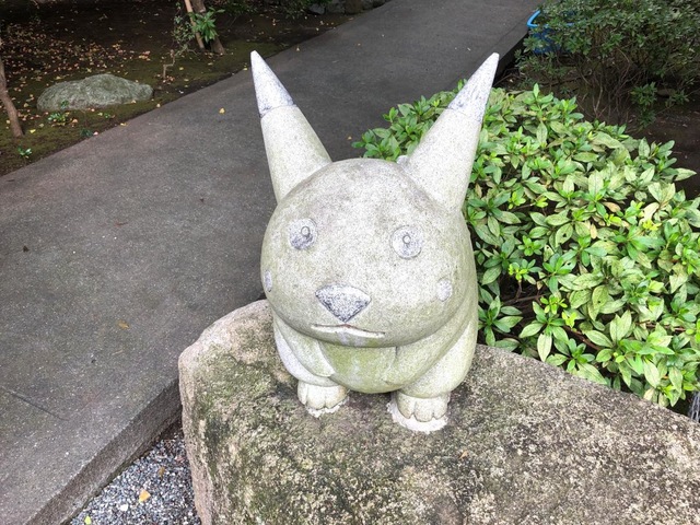 投稿写真8