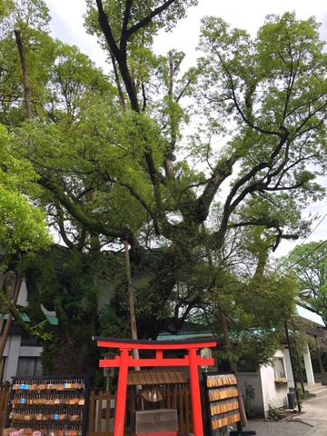 投稿写真7