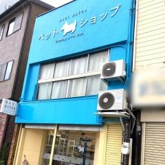 マリ・マエダ・ドッグスタジオ