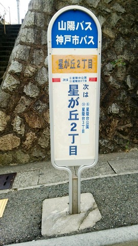 投稿写真6