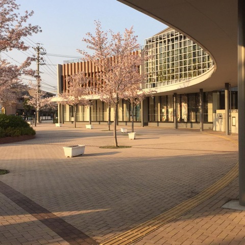 施設写真19