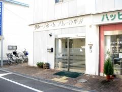 アムール平野