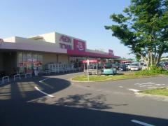 カスミフードスクエア　イオンタウン水戸南店