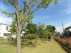 南花台第5緑地