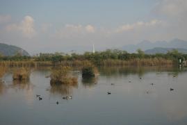 山口県立きらら浜自然観察公園
