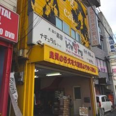 ペットオアシスキングル　堺本店