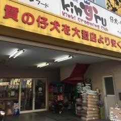 ペットオアシスキングル　堺本店