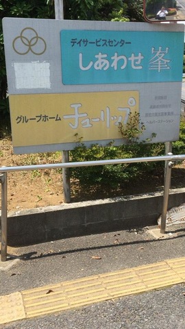チューリップ