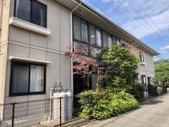わっしょい蒲原