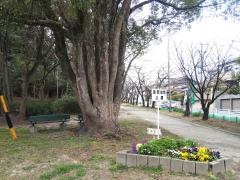 森岡自然公園