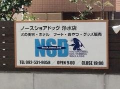 ノースショアドッグ