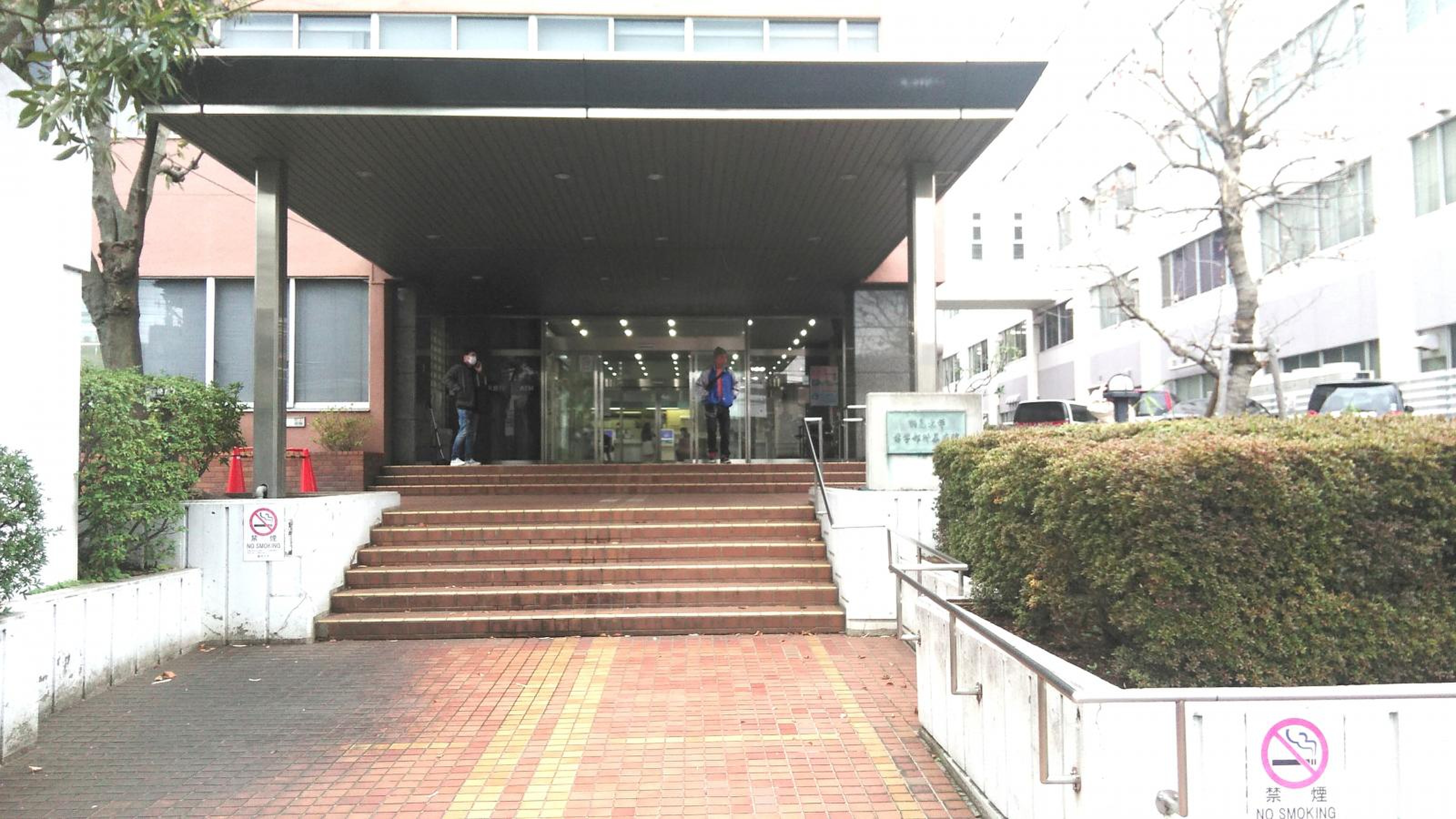 活動歴および当時の関連ビジュアル記録