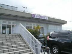 杉本整形外科