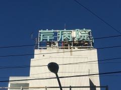 岸病院