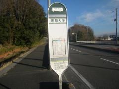 「浦和大学」バス停留所