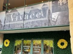 ＶＩＶＡＣＥ