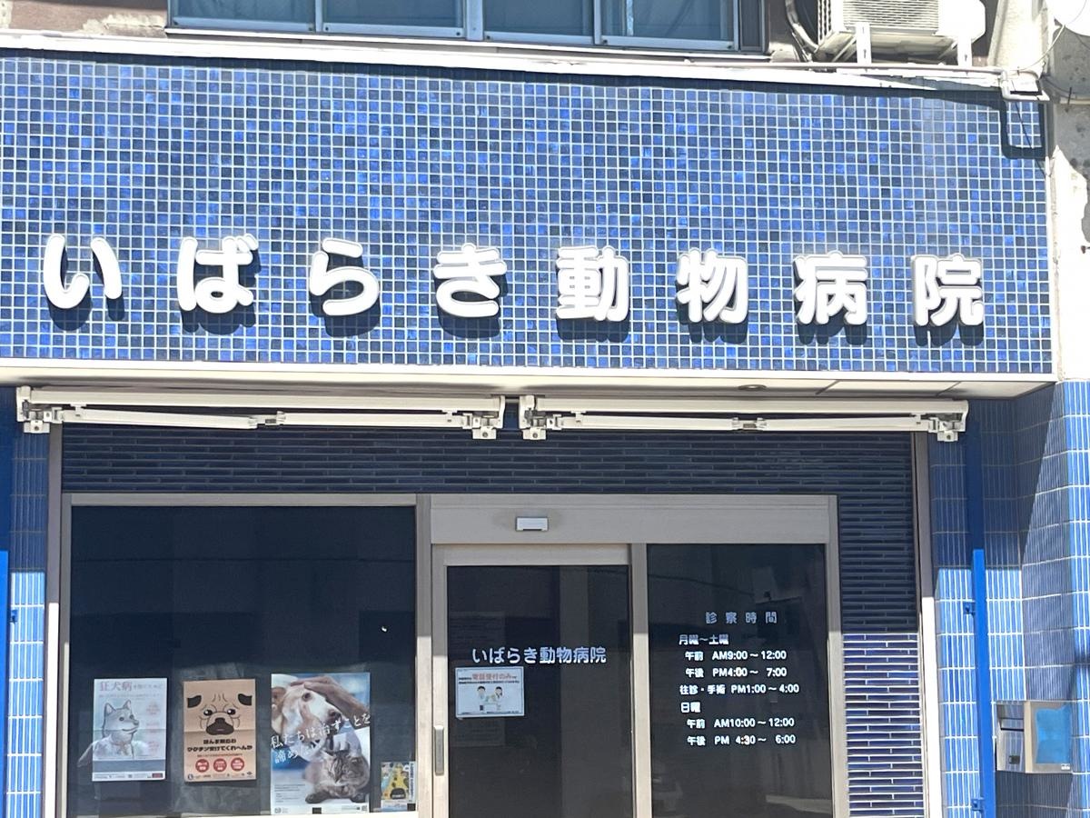 いばらき動物病院
