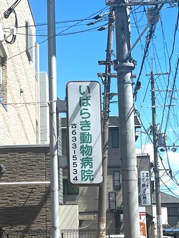 投稿写真4