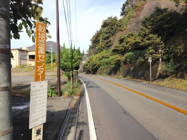 投稿写真4