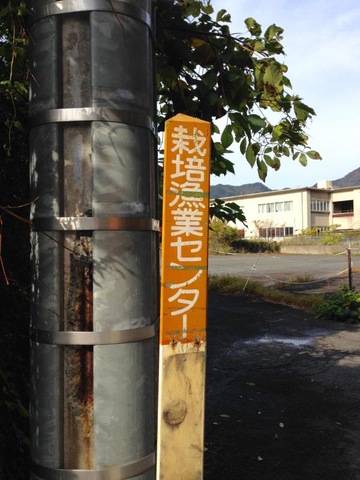 投稿写真3