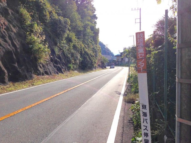 投稿写真2