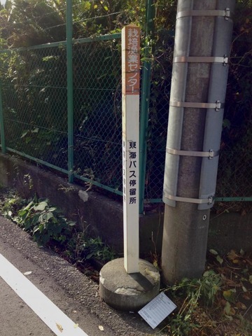 投稿写真1