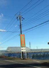 富田ぶどう園