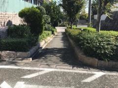 かがやき