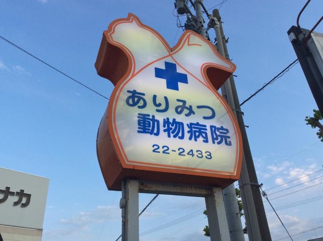 投稿写真7