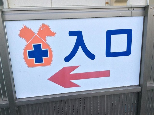 投稿写真4