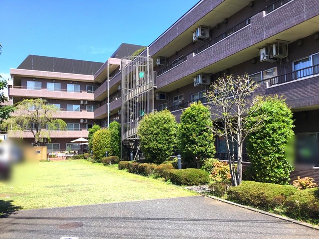 もみの樹・練馬