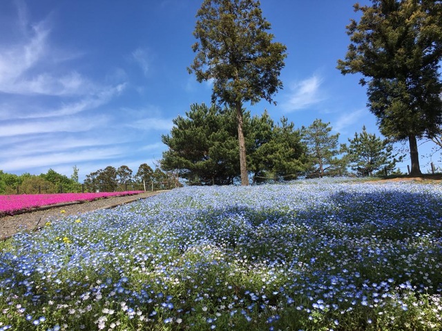投稿写真1