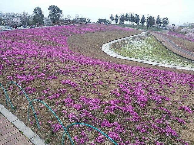施設写真48