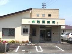 若葉薬局