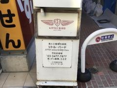 リトル・バード