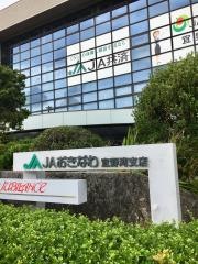 JAおきなわ宜野湾支店