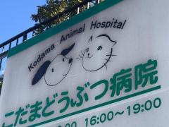 こだまどうぶつ病院