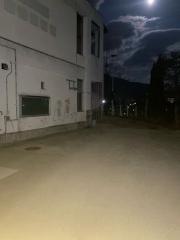 真亀幼稚園