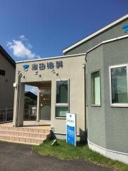澤田眼科