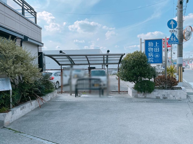 投稿写真4