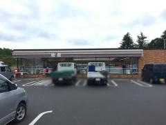 セブンイレブン　常陸大宮若林店
