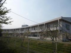 桂小学校